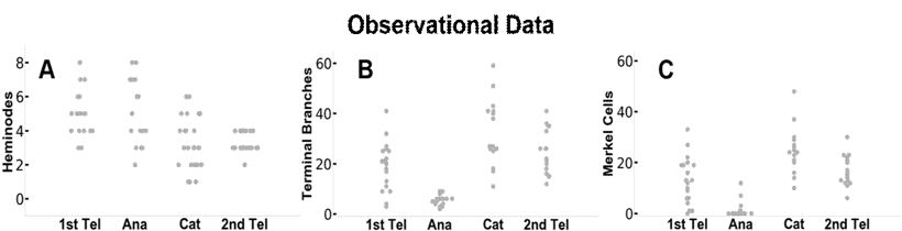 Figure 3- Comparison between the (A-C) actual observational data